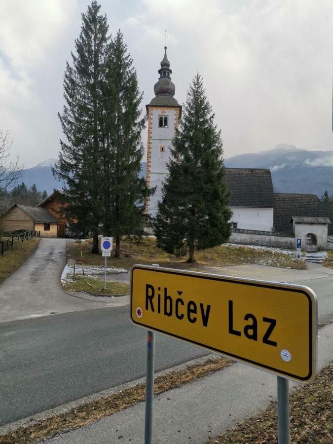 Remarkable Home Bohinj Lake Εξωτερικό φωτογραφία
