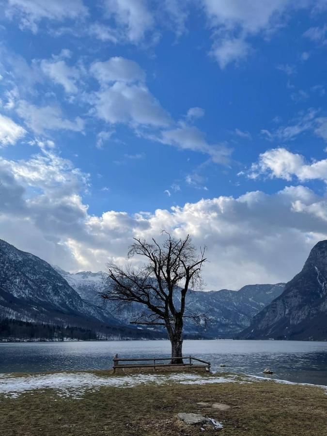 Remarkable Home Bohinj Lake Εξωτερικό φωτογραφία